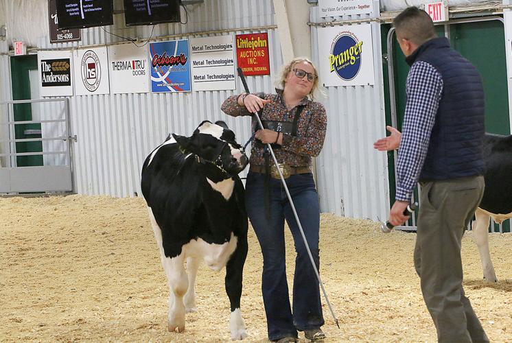 Taylor cleans up at Dairy Feeder Beef Show | Thestar | kpcnews.com