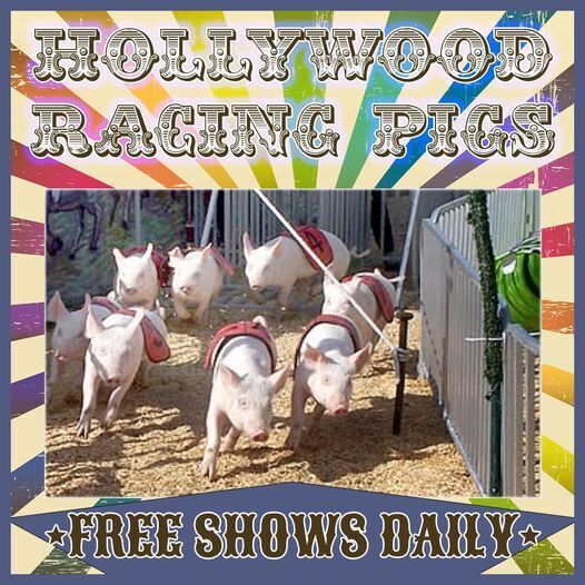 Much to see at this year's LaGrange County 4-H Fair - Vimarsana News