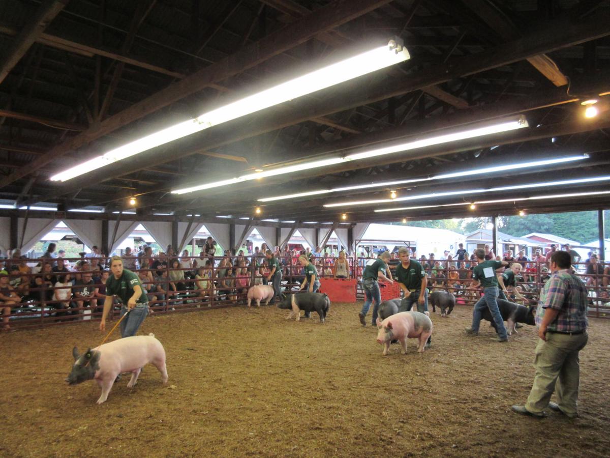 2016 Steuben County 4H Fair Photo Galleries