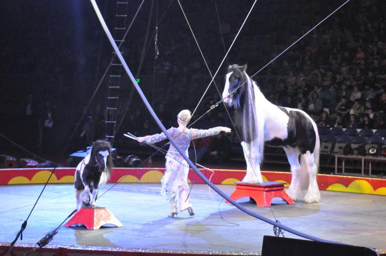 Mizpah Shrine Circus 2018 | Photo Galleries | kpcnews.com