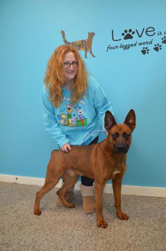 Animal shelter awash in homeless pets | News Sun Animal shelter awash in homeless pets | News Sun