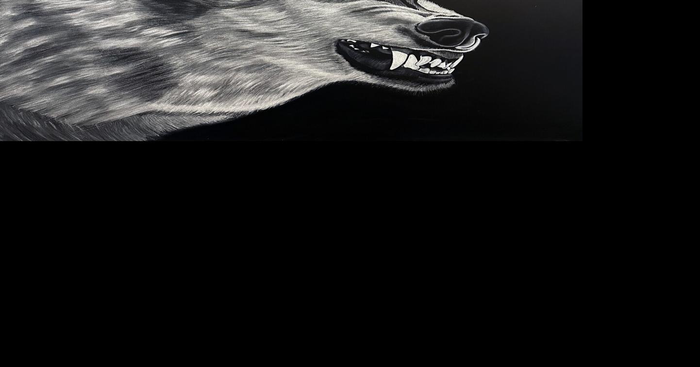 Art museum begins 2026 with Applegate show