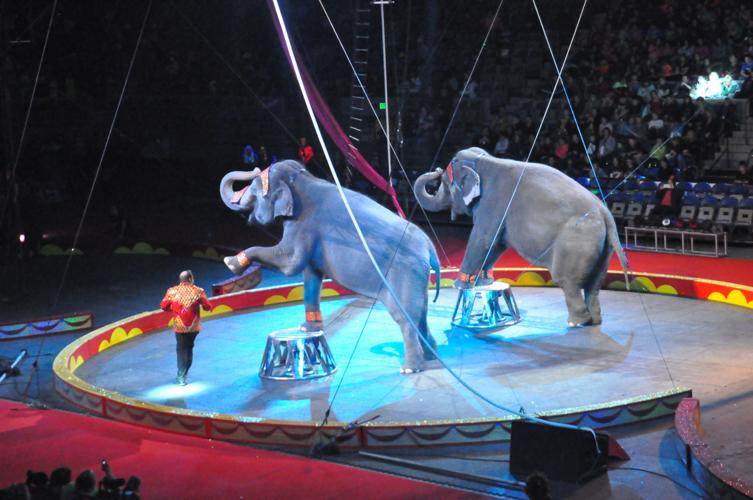 Mizpah Shrine Circus 2018 | Photo Galleries | kpcnews.com