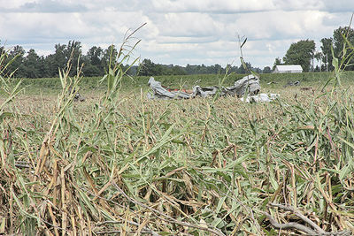 Local farms suffer tornado damage | Kpcnews | kpcnews.com