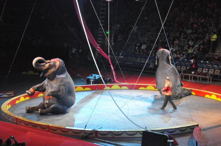 Mizpah Shrine Circus 2018 | Photo Galleries | kpcnews.com