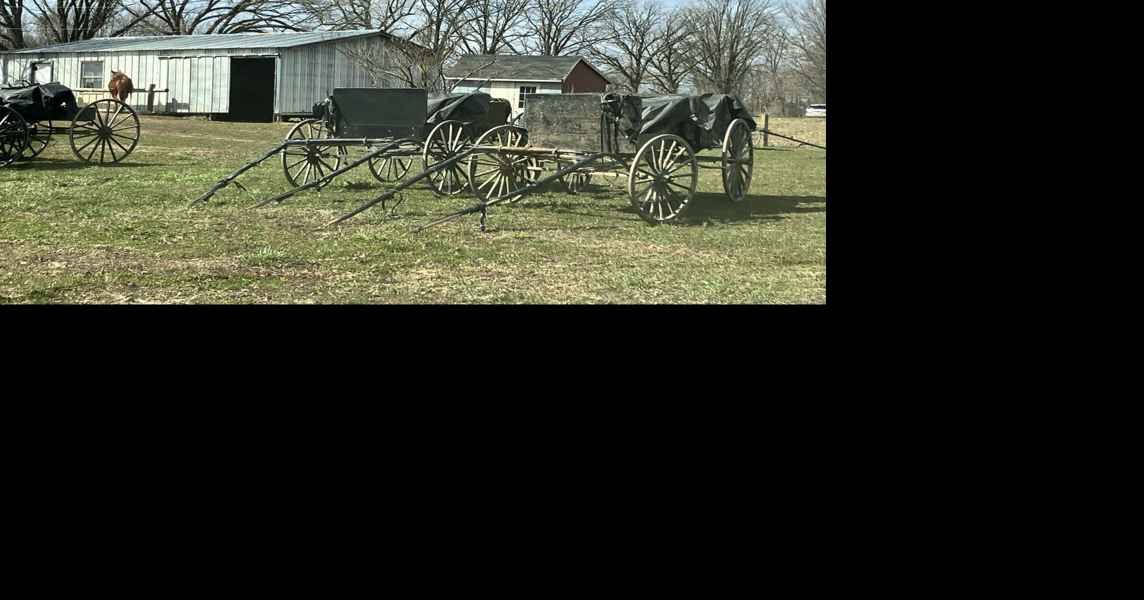 Road safety campaign demands more road signs for Amish populated areas