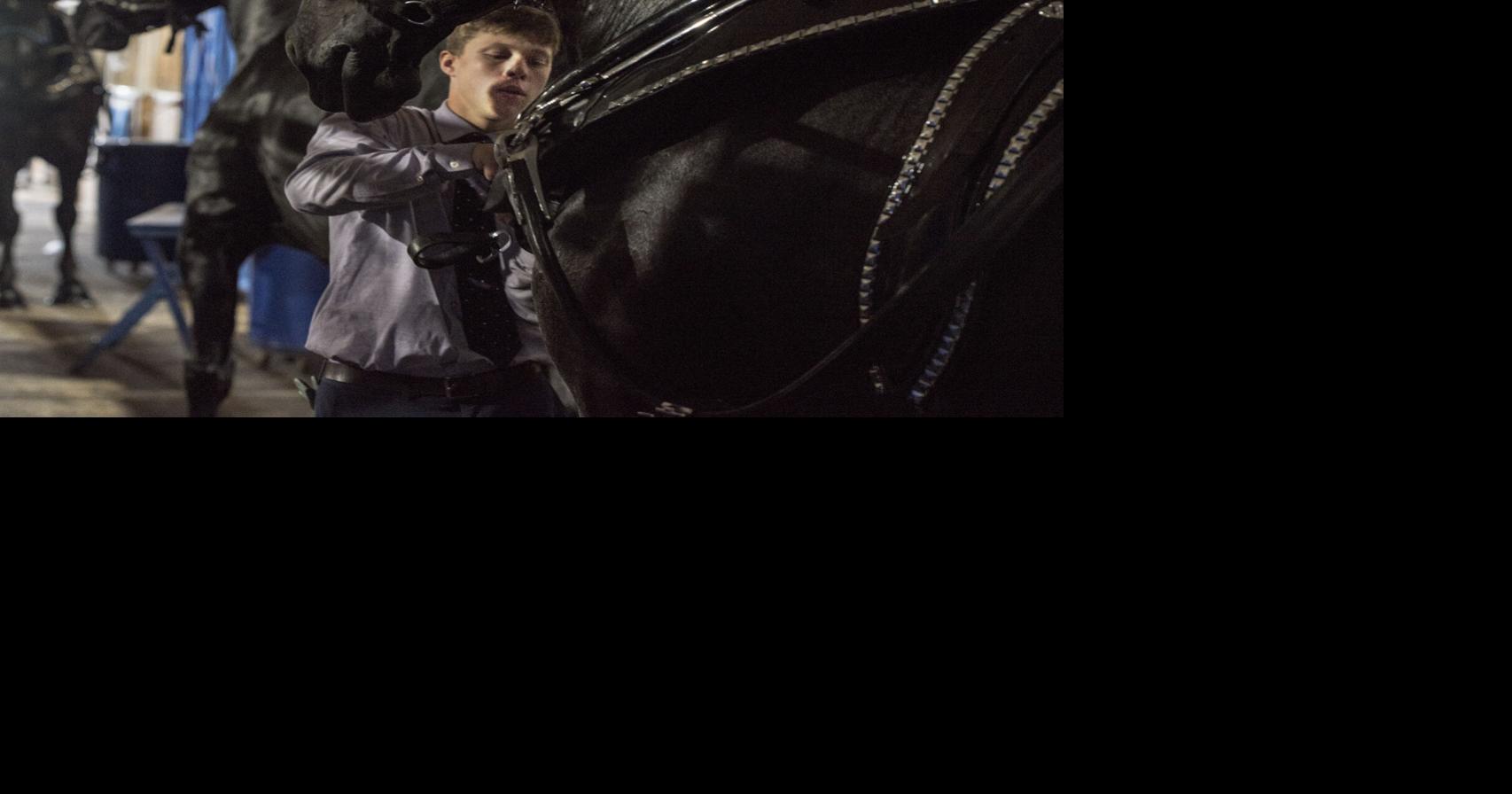 Midwest draft horse show in Shipshewana News Sun