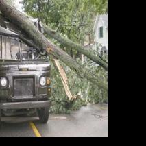 Falling tree kills UPS driver in Auburn | News | kpcnews.com
