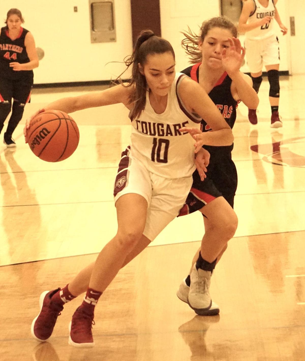 Image result for central noble sydney freeman basketball