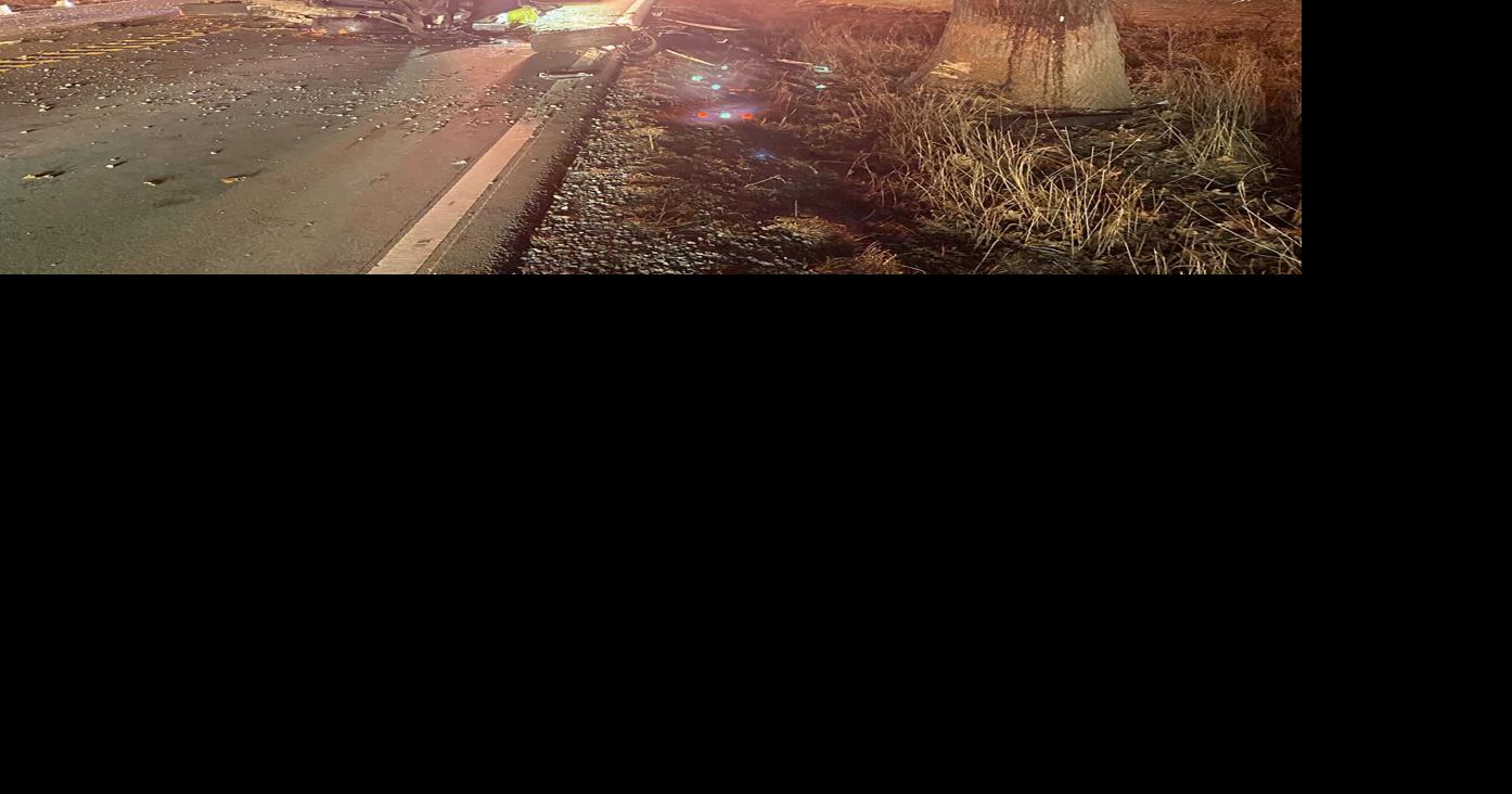 Driver of vehicle injured after colliding with a tree