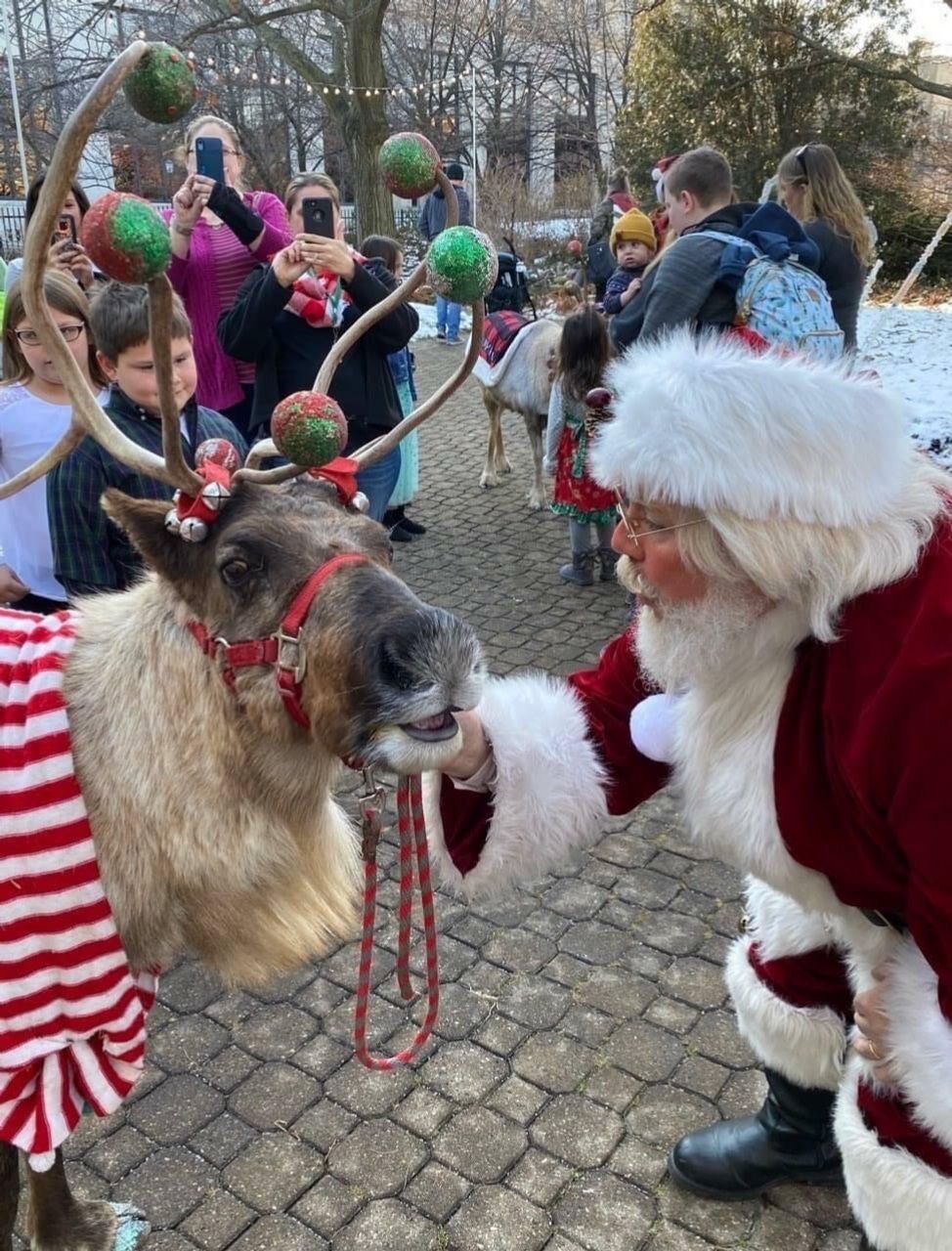 Santa and Reindeer at Botanical Conservatory