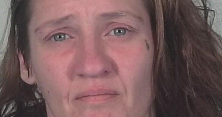 Michigan woman charged with arson in Steuben County