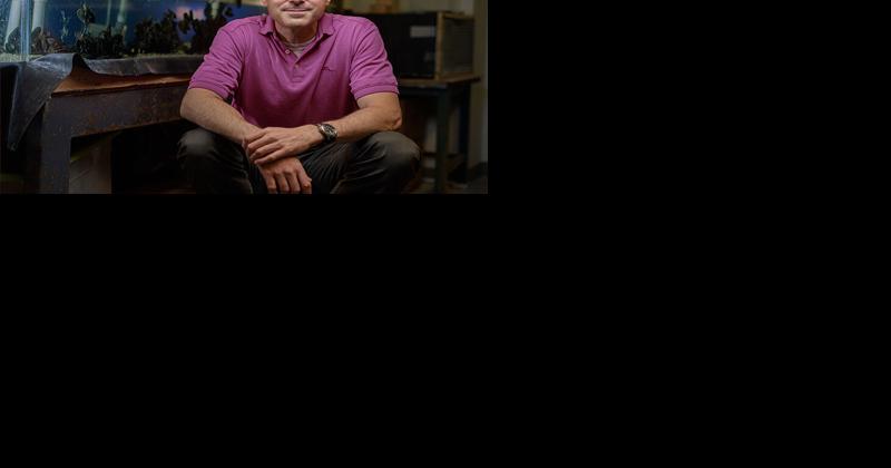 Chemists uses nature as inspiration for a sustainable, affordable adhesive system - Vimarsana News