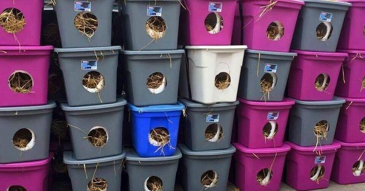 Winter cat house program expands to 150 this winter