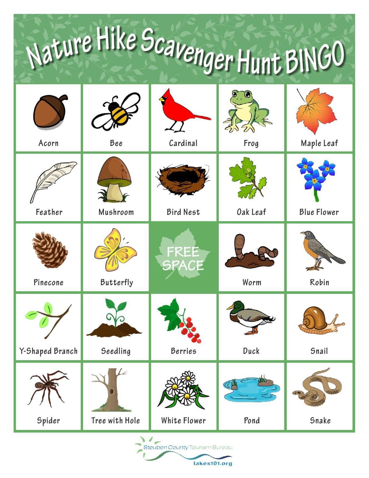 nature walk bingo cards for adults