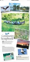 July 2017 Community Scrapbook