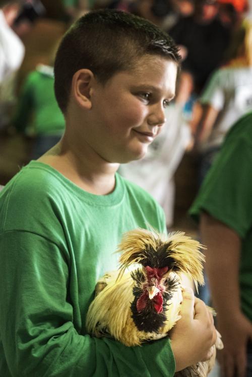 A boy and his chicken