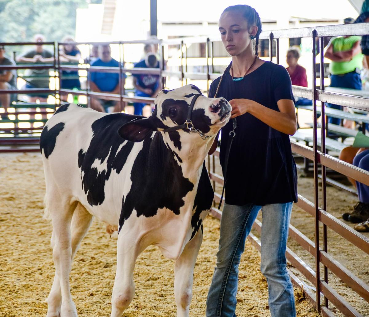 2021 Steuben County 4H Fair Scrapbook Life