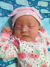 Annabelle Taylor