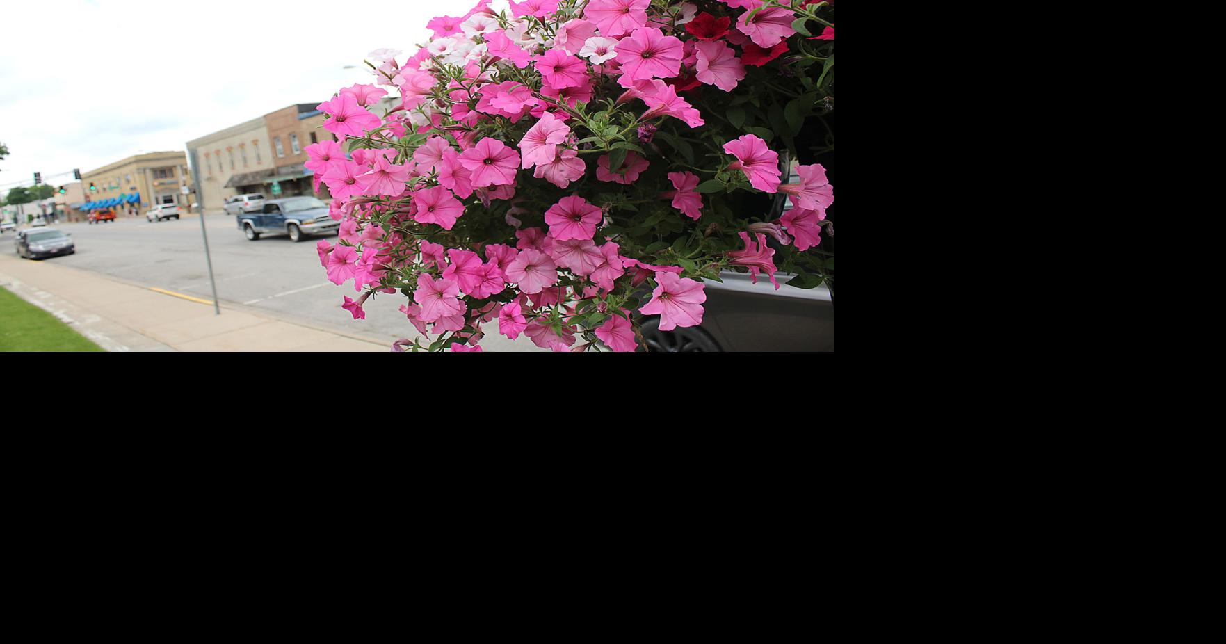 Community input needed for 'Legacy Project'