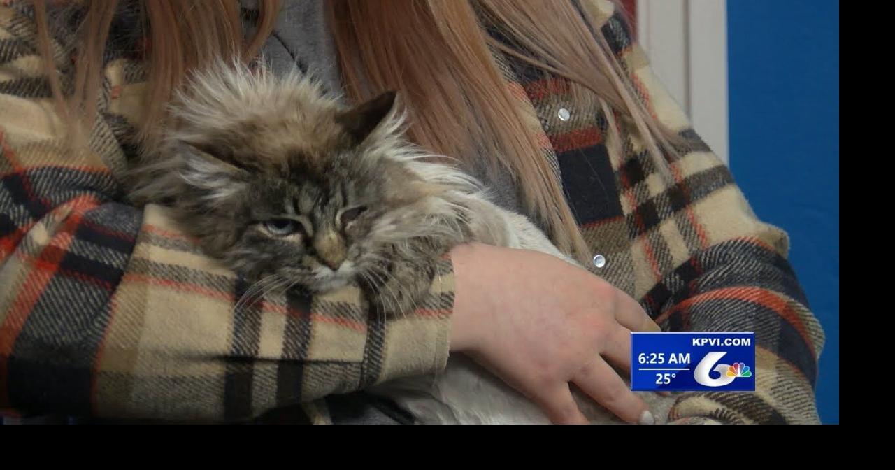 TailWagger Wednesday January 18, 2023 Local News