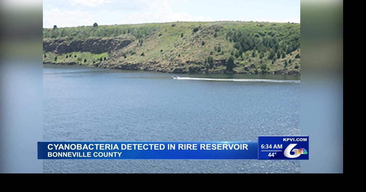 Idaho Environment Officials Found Cyanobacteria in the Ririe Reservoir ...