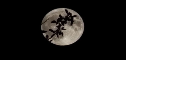 Becky Neilsen - Super Blue Moon - Vimarsana News