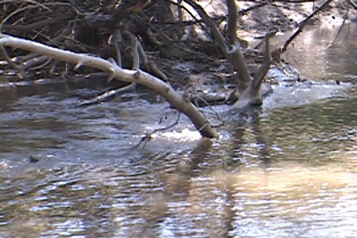 Boy Gets Carried Away in Current in Portneuf River - KPVI News 6