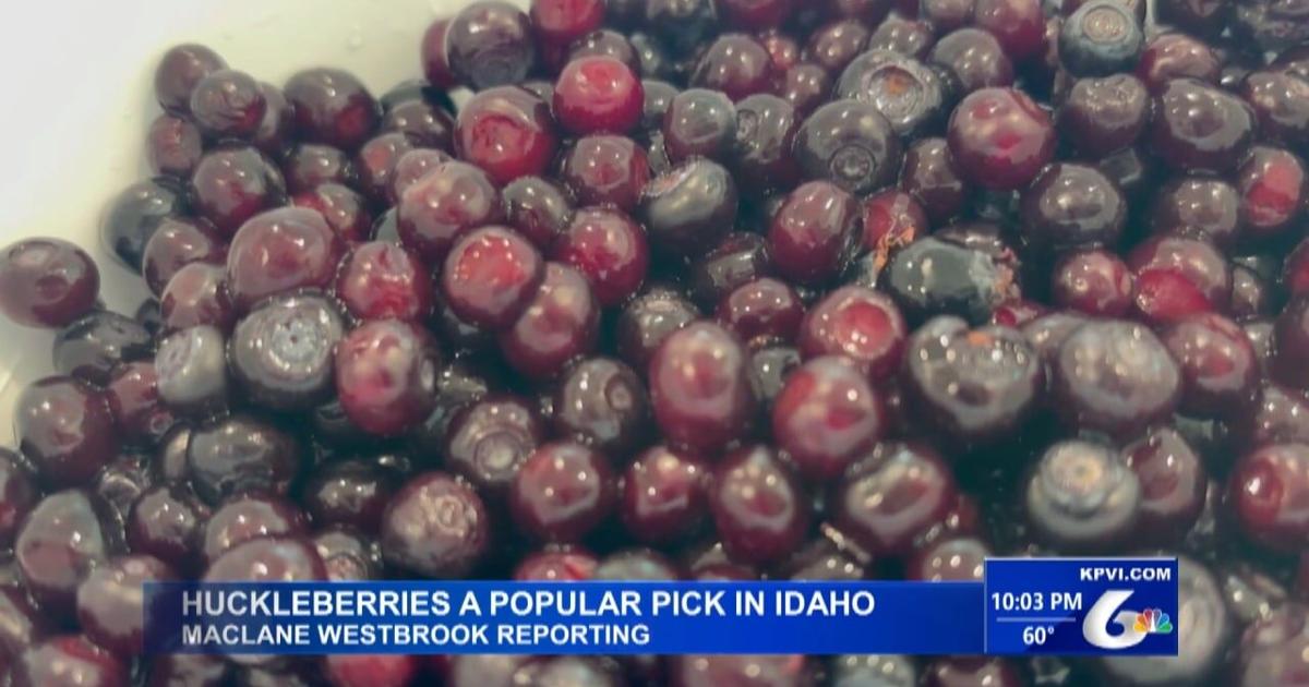 What Makes the Huckleberry So Special in Idaho?