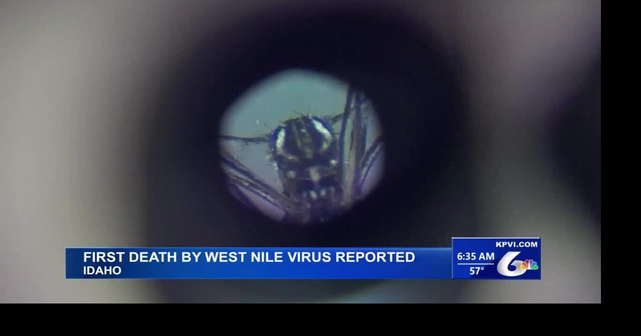 The First West Nile Virus Death of The Year Has Been Reported