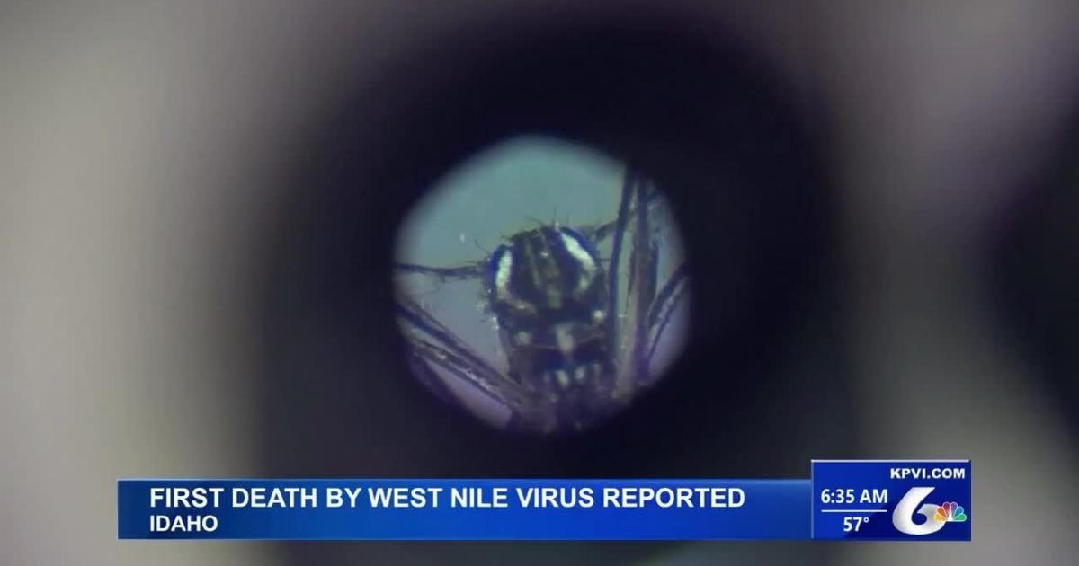 The First West Nile Virus Death of The Year Has Been Reported