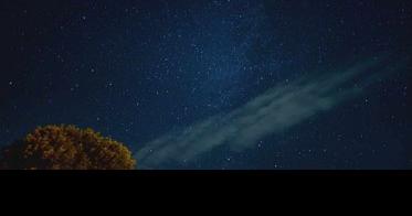 Becky Nielsen - Starlink Satellites - Vimarsana News