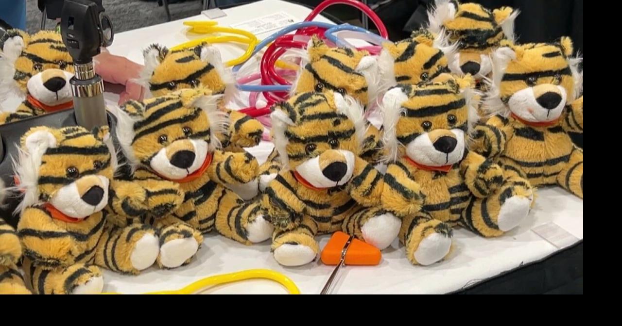 Tiny Tigers Health Fair Held at Idaho State University
