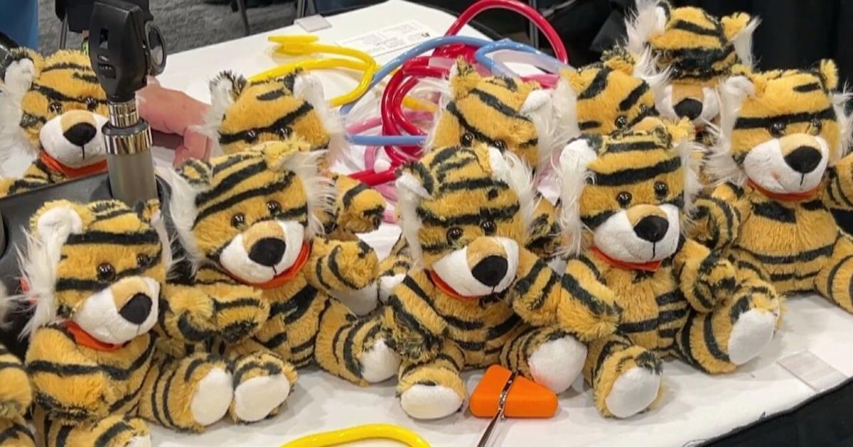 Tiny Tigers Health Fair Held at Idaho State University