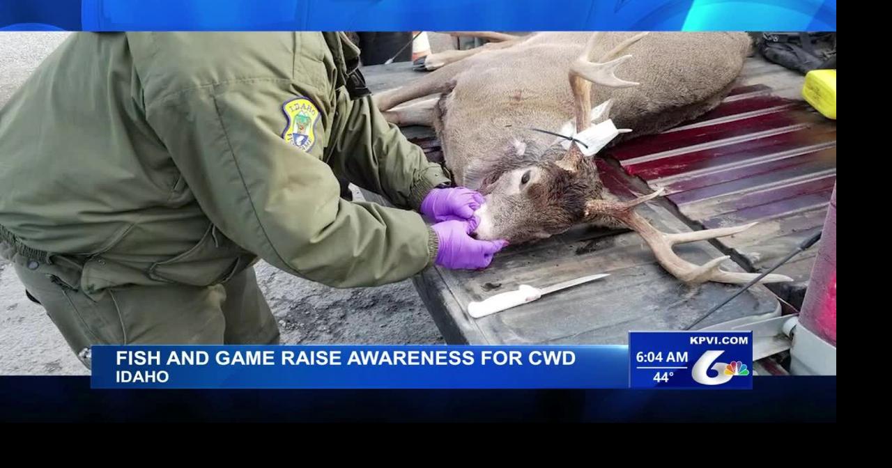 Idaho Fish and Game Raises Awareness for Chronic Wasting Disease