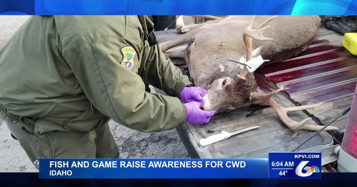 Idaho Fish and Game Raises Awareness for Chronic Wasting Disease