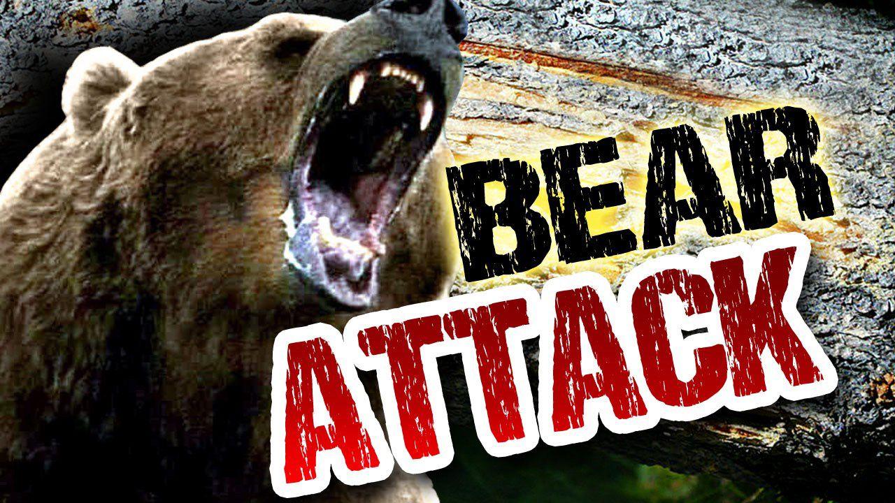 Idaho Bear Attack Local News