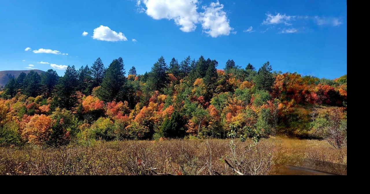 Terry Fenwick - Inman Canyon | Weather Pix | kpvi.com