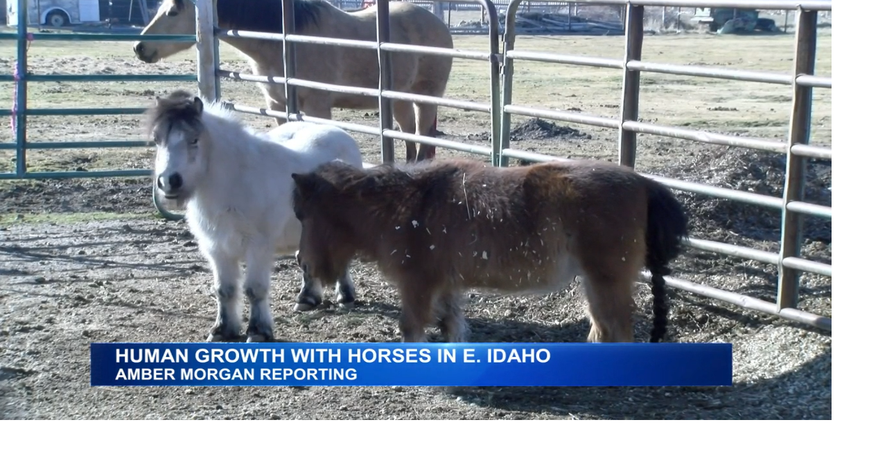 Two Eastern Idaho Organizations use Horses for Healing and Teaching Life Skills
