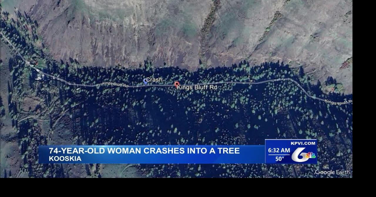 A 74-Year-Old Woman is Dead After Crashing into a Tree | Local News ...