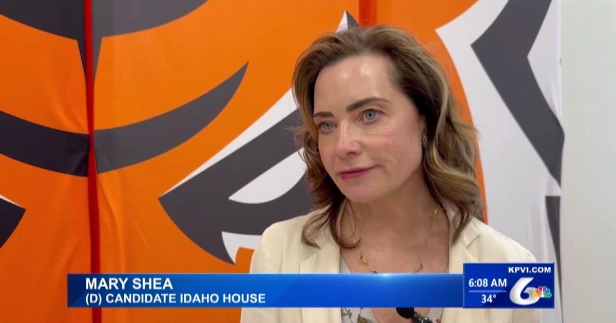 May Shea House of Representatives Candidate Mary Shea Kicks Off Campaign | Local ...