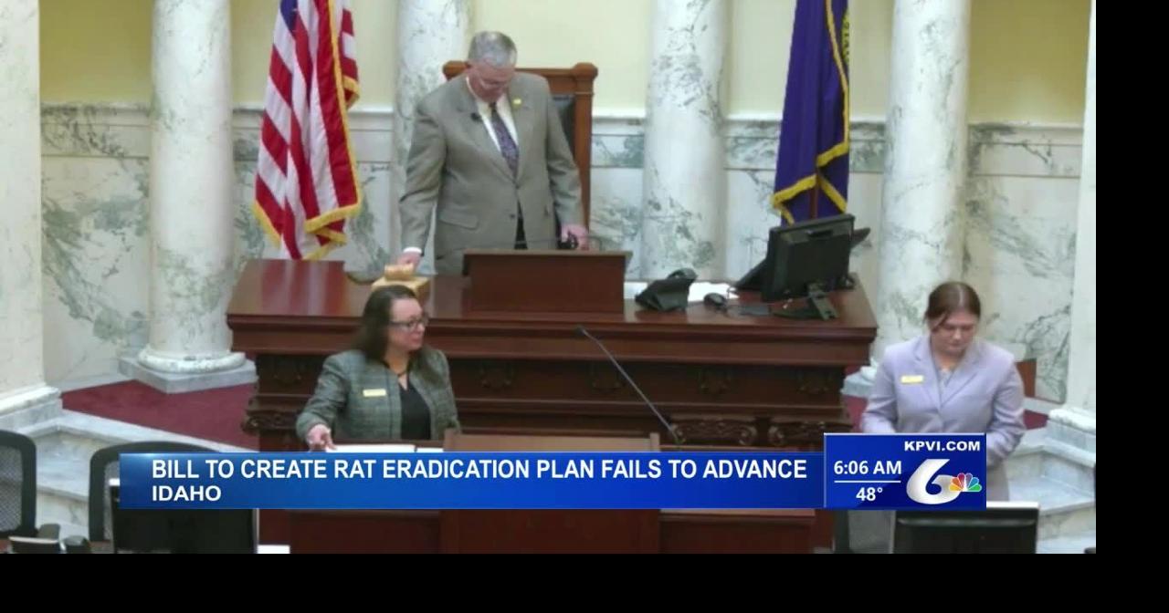 A Bill to Adress Idaho's Growing Rat Issue Has Failed to Advance