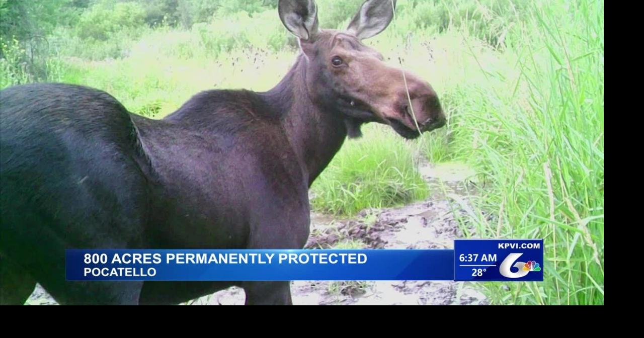 Over 800 Acres of Land is now under Permanent Protection in Southeast Idaho