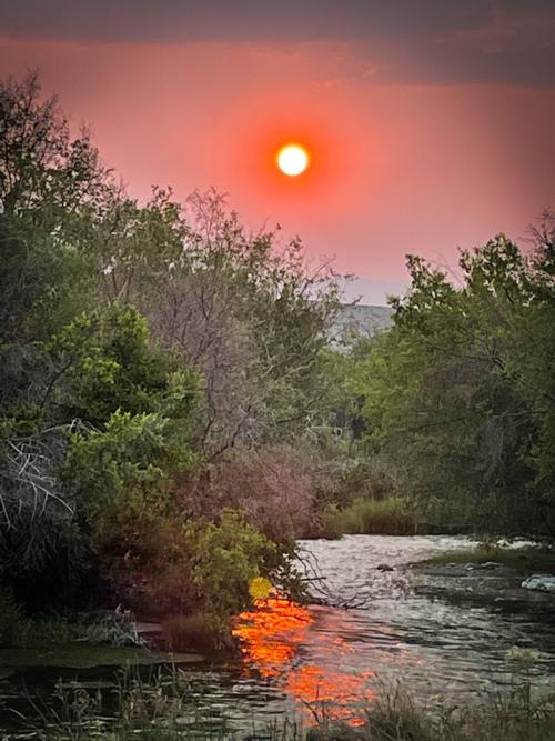 Sandee Mathews - Birch Creek