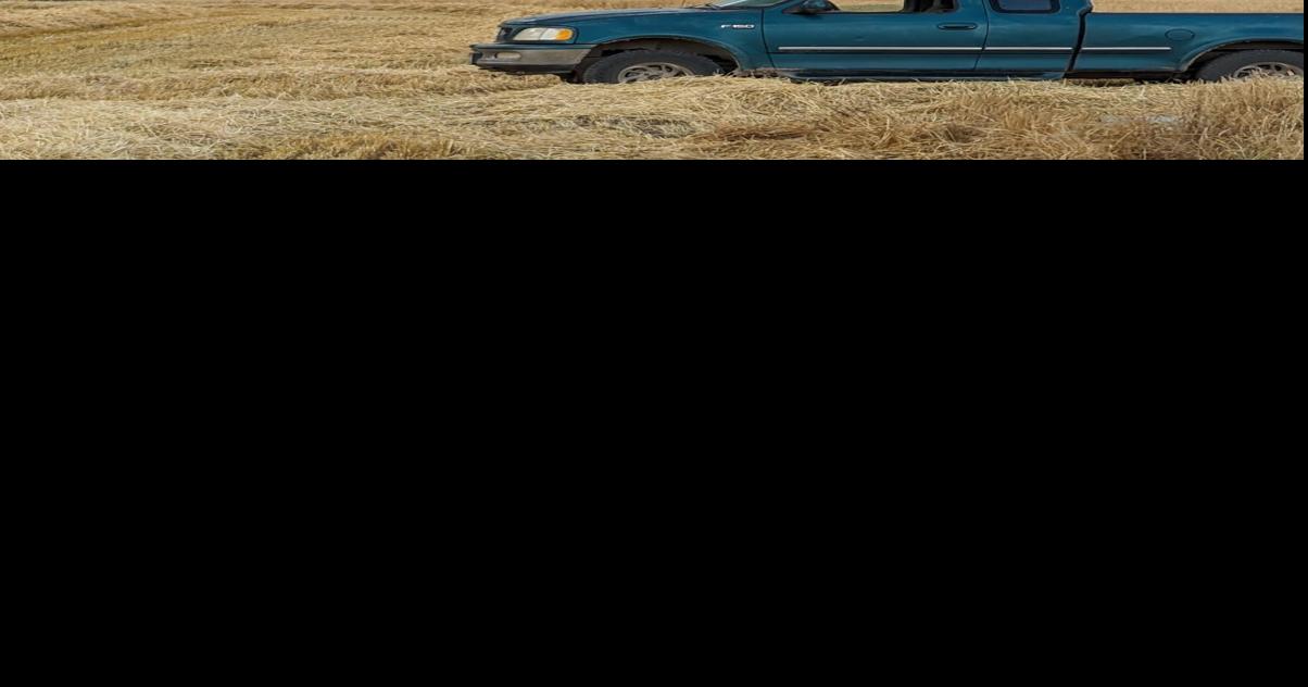 Stacie Evans McCammon Weather Pix