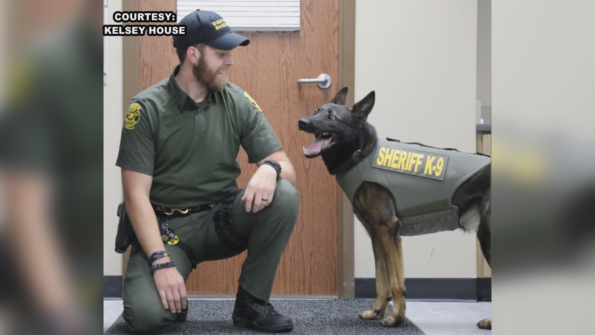 Andrew County Sheriff K9 Gifted Body Armor | Local | Kq2.com