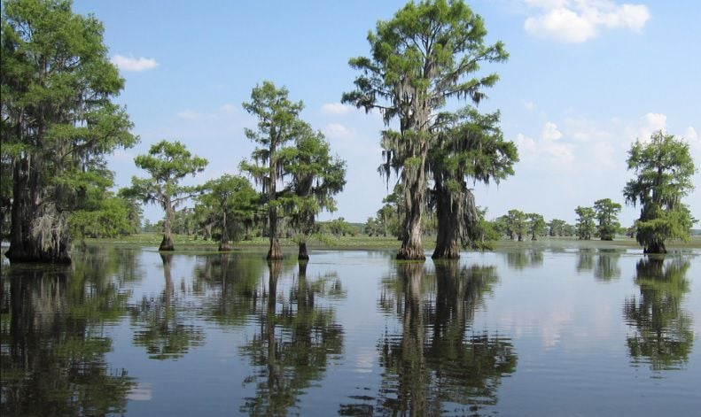 CPSO issues warning to Caddo Lake residents | Severe Weather Coverage ...