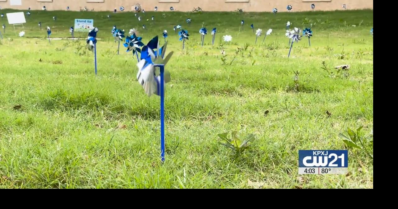 Ceremony highlights need for CASA volunteers, honors shooting victims ...