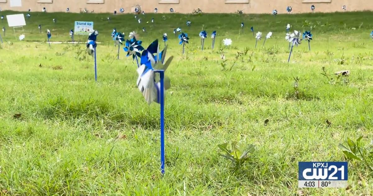 Ceremony highlights need for CASA volunteers, honors shooting victims ...