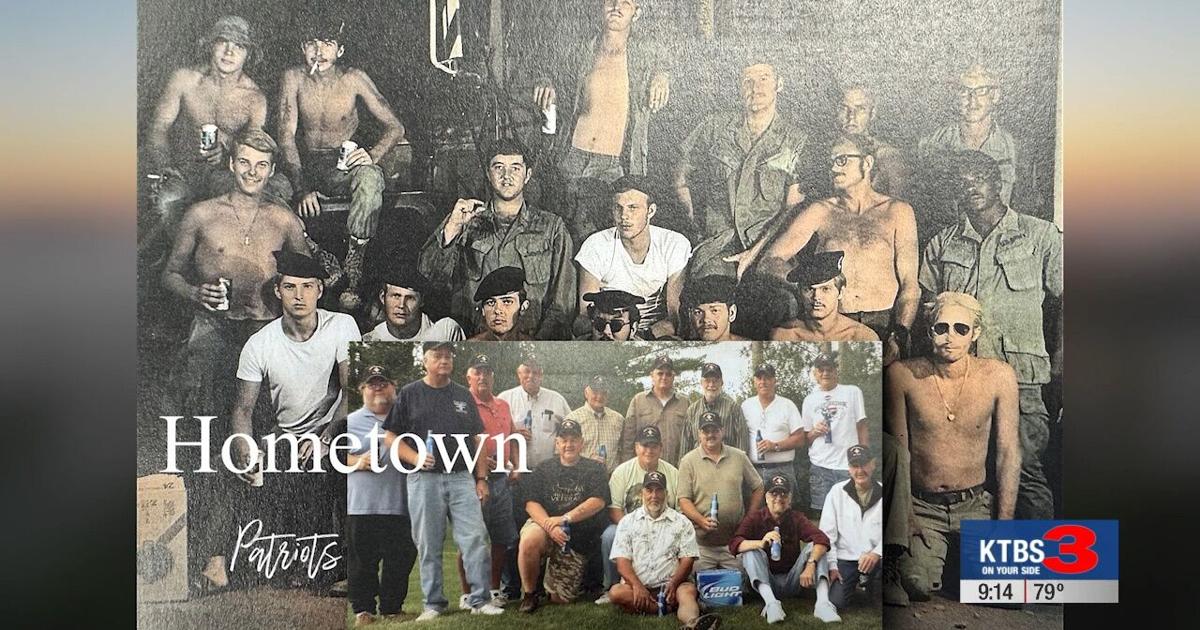 Hometown Patriot: 169th Engineer Battalion Vietnam